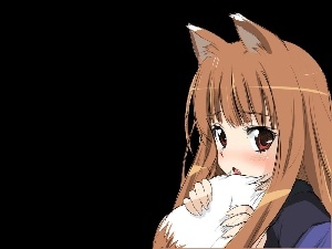 Spice and Wolf, form