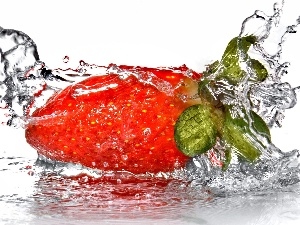 water, splash, Strawberry