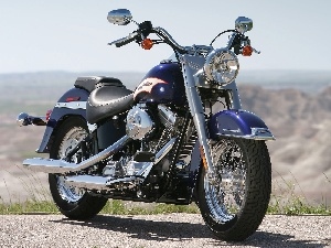 spoke, wheel, Harley Davidson Softail