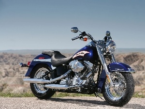 spotlight, Harley Davidson Softail