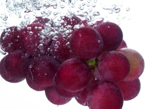 Grapes, spray, fresh