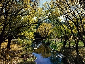 Spring, Creek, Park, Morses