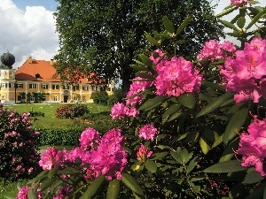 Spring, Park, Castle, Rhododendrons, Ramspau