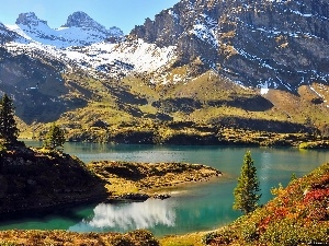 Spruces, lake, Alps, medows