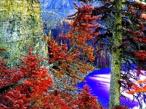 Autumn, Spruces, Mountains