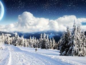 Spruces, Snowy, clouds, Planet