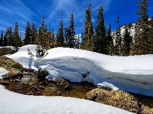 Spruces, River, winter, Stones, snow