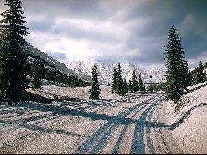 Spruces, Mountains, winter, Way