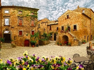 pansies, square, Houses