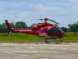 squirrel, Eurocopter AS-355 Ecureuil