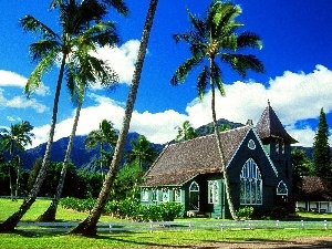 stained glass, Palms, house