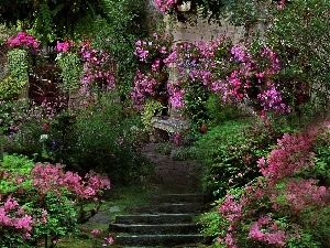 Flowers, Stairs, Garden