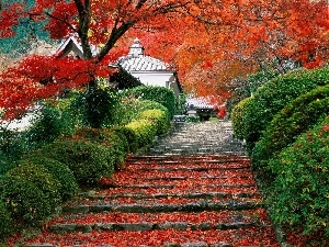 Stairs, trees, house, Leaf, Japan