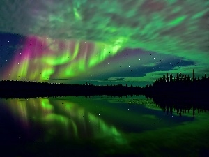 star, forest, aurora polaris, lake