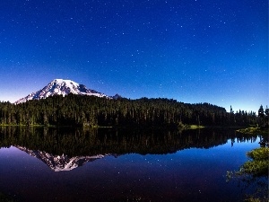 Starry, lake, Mountains, reflection, woods