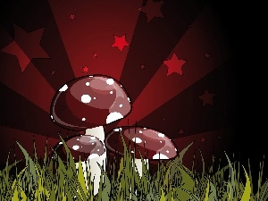 toadstools, Stars, Three