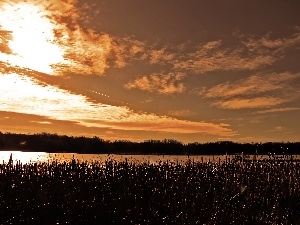 stick, clouds, lake, water, Sky