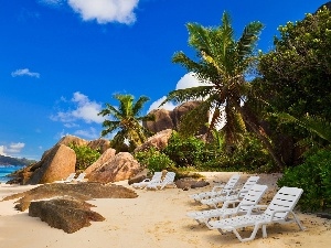 Beaches, Stones, Palms