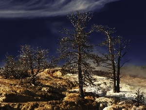 Stones rocks, viewes, dry, cliff, trees