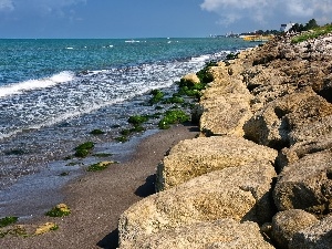 Coast, Stones, sea