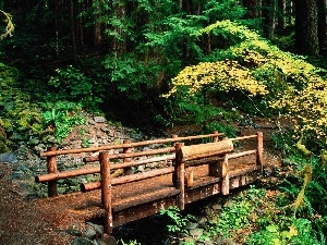 Stones, bridges, forest, wooden