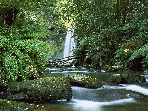 forest, Stones, waterfall