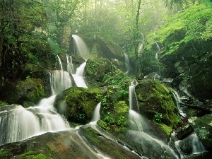 Stones, Moss, jungle, waterfall