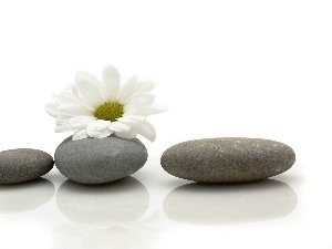 Margarytka, Stones, White