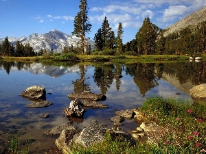 Stones, River, Mountains, forest