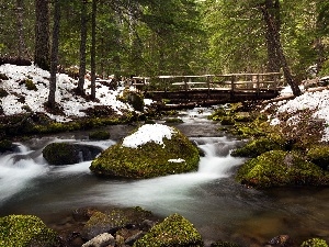 Stones, bridges, River, forest