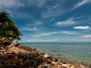 Stones, Palms, sea, Waves