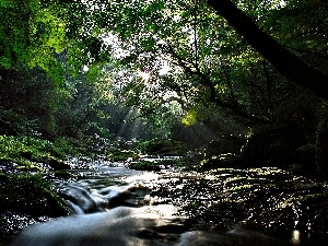 Stones, waterfall, trees, viewes