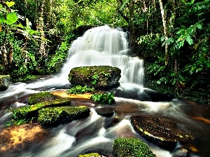 waterfall, Stones, jungle