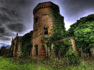 storm, flora, ruins, clouds, Covered