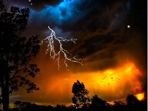 Storm, lightning, trees, Sky