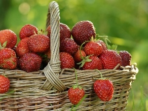 basket, strawberries, wicker