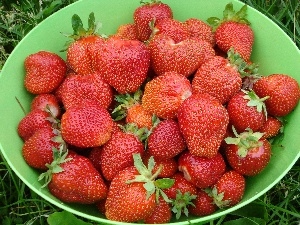 plate, strawberries, Green