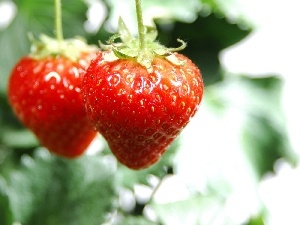 strawberries, Two