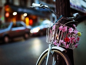 Street, Town, Bike, Flowers