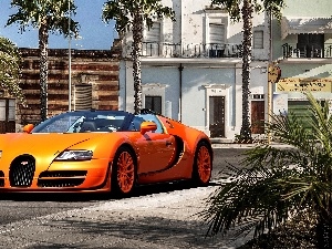 Street, Palms, Bugatti Veyron Vitesse