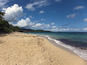 Beaches, summer, Sandy