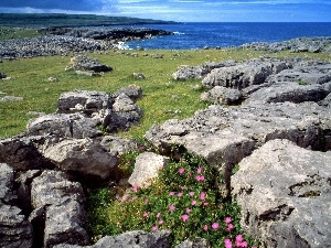 summer, sea, Coast, rocks