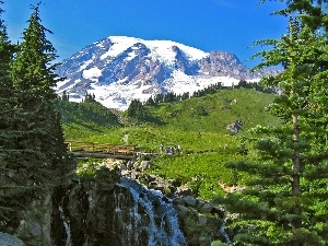 summer, Spruces, waterfall, Mountains