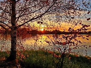 sun, west, lake, autumn, clouds