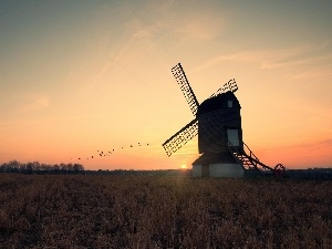 sun, west, Windmill, birds, Meadow