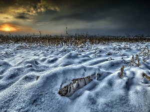 sun, west, Field, snow