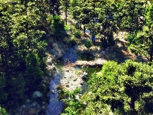 sun, glamour, forest, brook