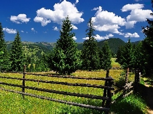 clouds, luminosity, sun, flash, ligh, fence, woods, Mountains, medows, shadow, Spruces