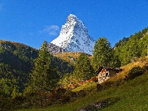 cote, luminosity, sun, flash, ligh, Meadow, mount, Mountains, Matterhorn, shadow, forest