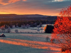 luminosity, sun, Home, flash, field, Przebijaj?ce, trees, ligh